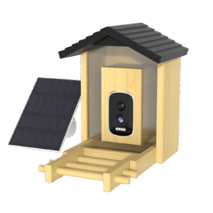 Inteligentny karmnik dla ptaków z kamerą